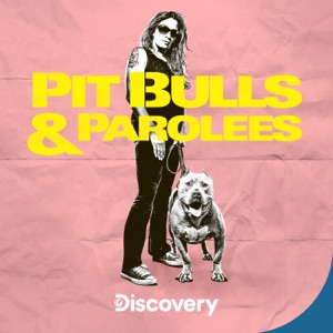 Pit Bulls and Parolees, Season 18 - Episode 5