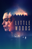 Little Woods - Nia Dacosta