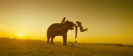 Ayayayoo Aananthamey (From "Kumki") - D. Imman & Haricharan