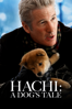 Hachi: A Dog's Tale - Lasse Hallström