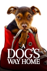 A Dog's Way Home