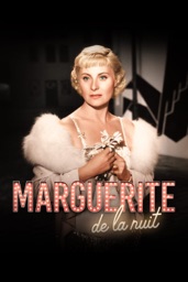 Marguerite de la nuit