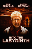 Into the Labyrinth - Donato Carrisi