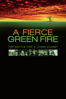 A Fierce Green Fire: The Battle for a Living Planet - Mark Kitchell