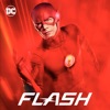 The Flash