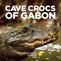 Télécharger Cave Crocs of Gabon Episode 1