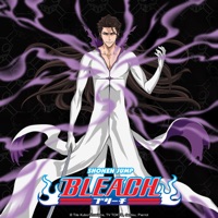 Bleach (English) Pt. 11