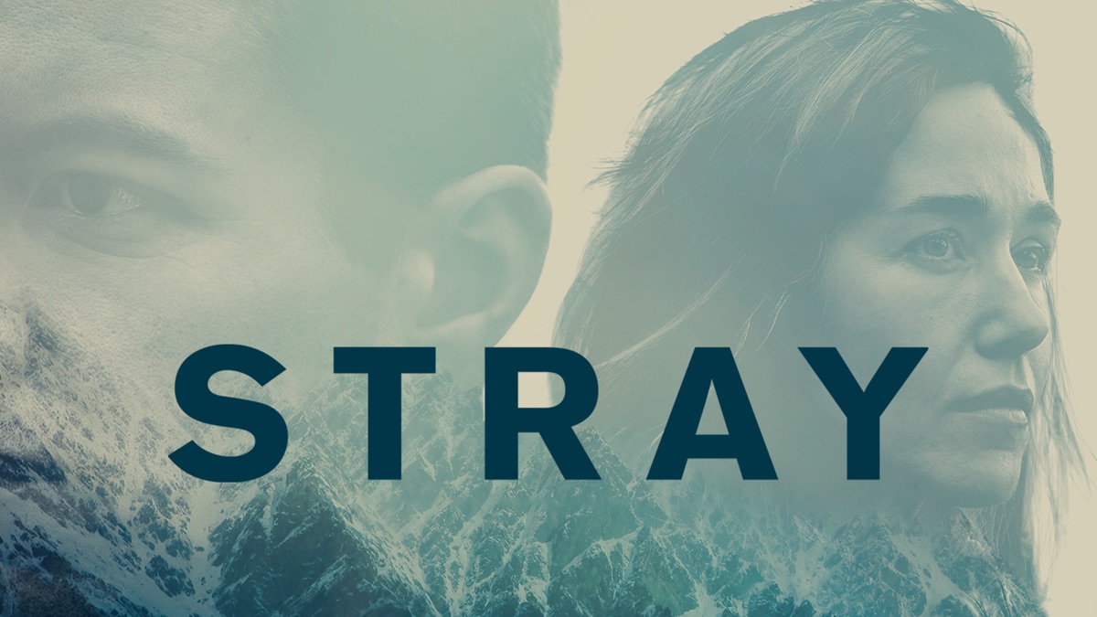 ‎Stray - Apple TV