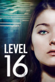 Level 16