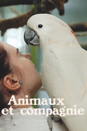 Animaux et compagnie