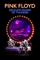Poster for Delicate Sound of Thunder by Pink Floyd