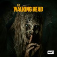 The Walking Dead - The Walking Dead, Season 9 artwork