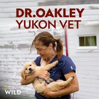 Dr. Oakley, Yukon Vet, Season 9