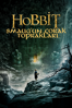 The Hobbit: The Desolation of Smaug - Peter Jackson