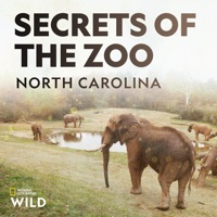 Télécharger Secrets of the Zoo: North Carolina, Season 1 Episode 8