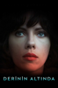 Under the Skin (2013) - Jonathan Glazer