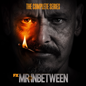 Mr. Inbetween, The Complete Series