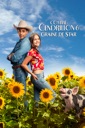 Affiche du film Comme Cendrillon 6 : Graine de Star