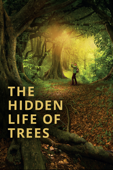 The Hidden Life of Trees