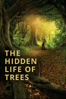 The Hidden Life of Trees - Jörg Adolph & Jan Haft