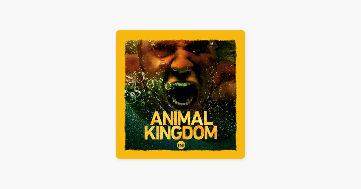 ‎Animal Kingdom, Season 3 on iTunes