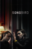 Songbird - Adam Mason