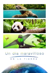 Poster for Un día maravilloso en la Tierra by Richard Dale, Peter Webber & Fan Lixin