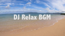 作業用 おしゃれ ハワイアン リラックスBGM - DJ Relax BGM