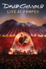 Live At Pompeii - David Gilmour