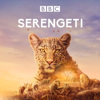 Serengeti, Season 2