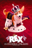 Rex - Un cucciolo a palazzo