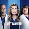 Hate Plus fort que la haine Grey's Anatomy, Saison 18 (VOST)