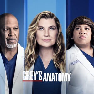 Grey's Anatomy, Saison 18 (VOST) - Episode 3