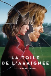 La toile de l'araignée