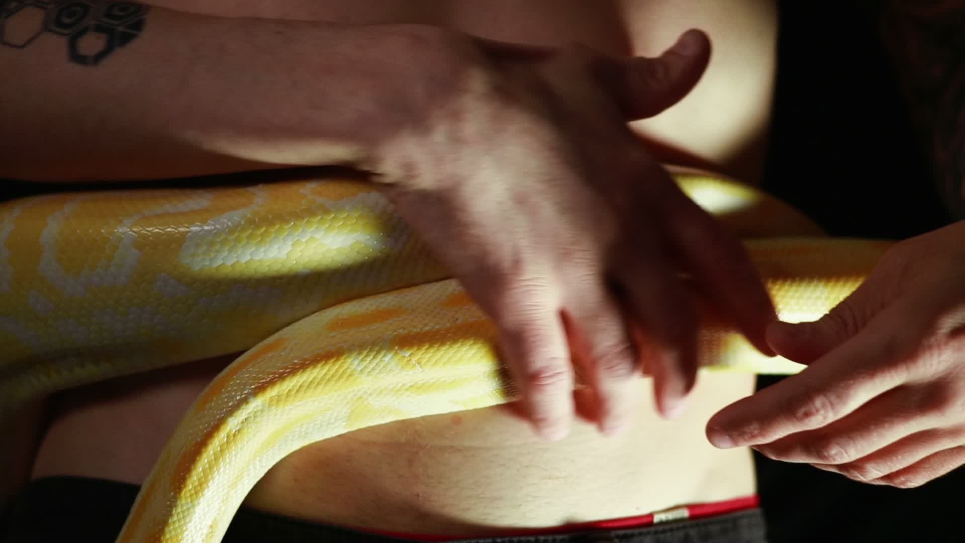 Половина слов by ModeM