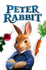 Peter Rabbit - Will Gluck new Single