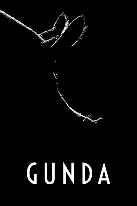 Gunda