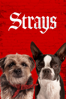 Strays (2023) - Josh Greenbaum