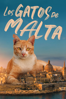Los gatos de Malta - Sarah Jayne Portelli