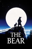 The Bear