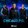 Safe Harbor - Chicago PD