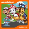 Paw Patrol, la Pat’ Patrouille