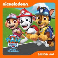 Télécharger Paw Patrol, la Pat’ Patrouille, Saison 7, Partie 2 Episode 726