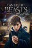 Fantastic Beasts and Where to Find Them - David Yates