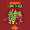 Teenage Mutant Ninja Turtles (1987), Season 4 - Teenage Mutant Ninja Turtles (1987)