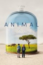 Affiche du film Animal