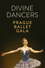 Divine Dancers - Prague Ballet Gala - Unknown