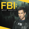 FBI: Most Wanted - Bonne Terre  artwork