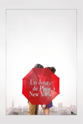 Un jour de pluie à New York
