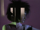 Candyman - Siouxsie & The Banshees
